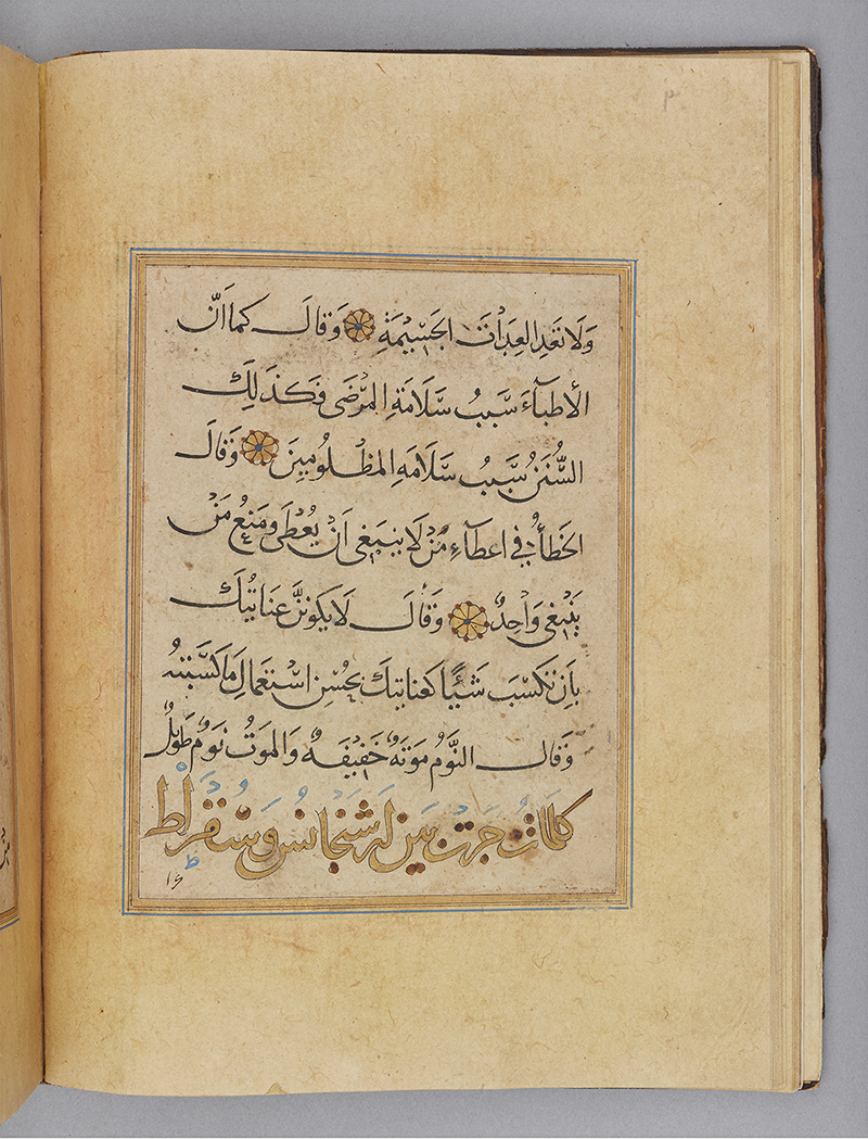 Manuscript page with left justified text box ruled with blue and gold, containing 8 lines of script in black with gold floral roundels as text-markers.